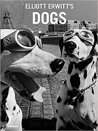 Elliott Erwitt's dogs