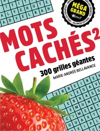Méga grand - Mots cachés 2
