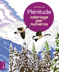 PLENITUDE - COLORIAGE PAR NUMEROS