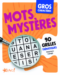 GROS CARACTERES MOTS MYSTERES - 90 GRILLES THEMATIQUES