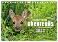 Un an avec des chevreuils (Calendrier mural 2027 DIN A4 vertical), CALVENDO calendrier mensuel