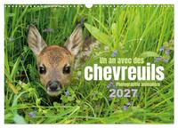 Un an avec des chevreuils (Calendrier mural 2027 DIN A3 vertical), CALVENDO calendrier mensuel