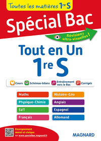 Spécial Bac Tout en Un 1re S