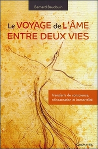 Le voyage de l'âme entre deux vies - Transferts de conscience, réincarnation et immortalité