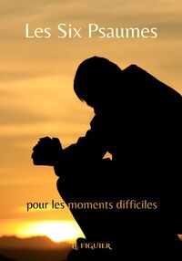 NOUS NE NOUS SOMMES JAMAIS TANT AIMES