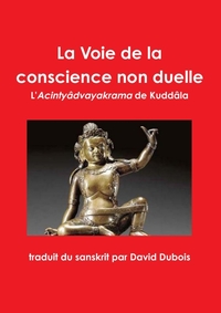 LA VOIE DE LA CONSCIENCE NON DUELLE