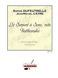 SOPHIE DUFEUTRELLE/JEAN-MICHEL CAYRE: LE SERPENT A SONS... NETS RATTLESNAKE