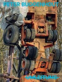 Peter Buggenhout Skulpturenpark Waldfrieden /anglais/allemand