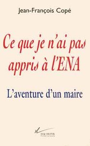 CE QUE JE N'AI PAS APPRIS A L'ENA - L'AVENTURE D'UN MAIRE