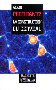 LA CONSTUCTION DU CERVEAU
