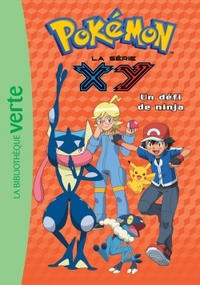 Pokémon 23 - Un défi de ninja