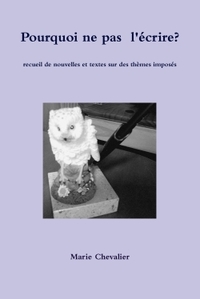 Pourquoi ne pas  l'écrire?