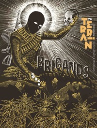 Terrain 74 Brigands