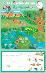 Les posters effaçables - Les cycles de vie Montessori