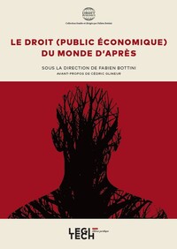 LE DROIT (PUBLIC ECONOMIQUE) DU MONDE D'APRES - TOME 6