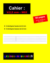 CAHIER D’ÉCRITURE VIERGE V.2,5 mm - M02