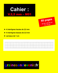 CAHIER D’ÉCRITURE VIERGE V.2,5 mm - M01