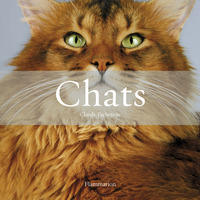 Chats (Coffret)