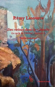 DES VEINES DANS LE GRANITE TOME 1