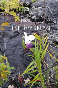 LES FOURNAISES DU PASSE