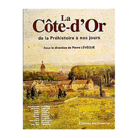 La Côte d'Or de la préhistoire à nos jours