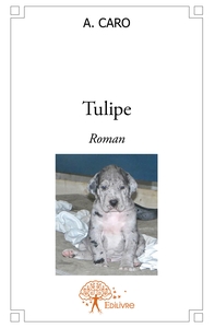 Tulipe
