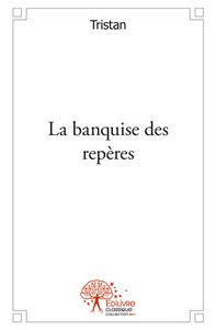 La banquise des repères - recueil de poèmes