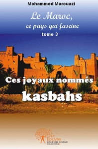 Ces joyaux nommés kasbahs