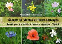 Secrets de plantes et fleurs sauvages