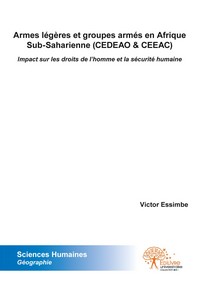 Armes légères et groupes armés en afrique sub saharienne (cedeao & ceeac)