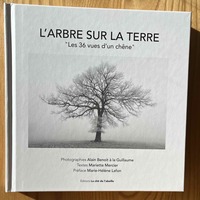 L'arbre sur la terre