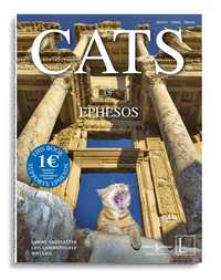 Cats Of Ephesos