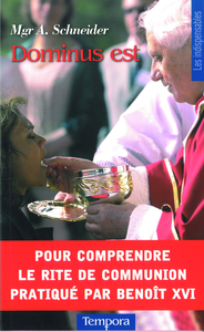 DOMINUS EST - POUR COMPRENDRE LE RITE DE COMMUNION PRATIQUE PAR BENOIT XVI