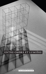 ENTRE OMBRE ET LUMIERE, TRANSPARENCE ET REFLET