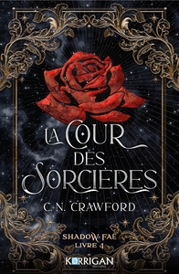 SHADOW FAE T4 - LA COUR DES SORCIERES