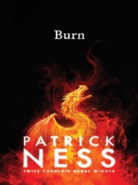 BURN