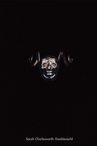 Sarah Charlesworth: Doubleworld /anglais