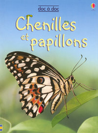 CHENILLES ET PAPILLONS