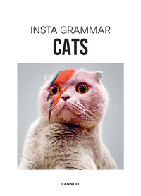 Insta Grammar - Cats /anglais