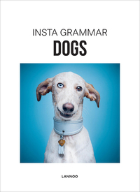 INSTA GRAMMAR - DOGS /ANGLAIS
