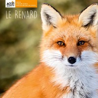 LE RENARD