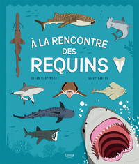 À la rencontre des requins