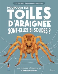 Pourquoi les toiles d’araignée sont-elles si solides ?