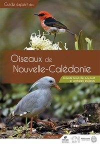 Oiseaux de Nouvelle-Calédonie Grande Terre, Îles Loyautés et archipels éloignés