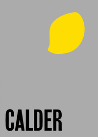 Alexander Calder From the Stony River to the Sky /anglais