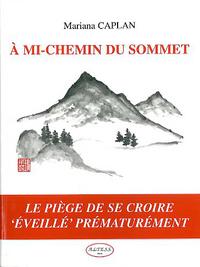À mi-chemin du sommet