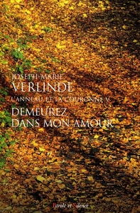 demeurez dans mon amour