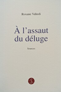 À l'assaut du déluge