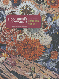 BIODIVERSITE LITTORALE VUE PAR MEHEUT.