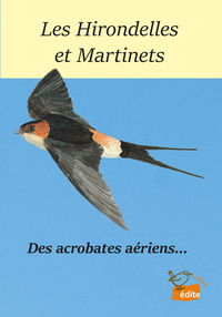 Les Hirondelles et Martinets